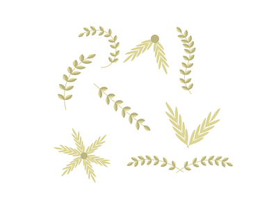 Millet in different types art autumn branch cereals decoration ear flower frame gold graphic design illustration leaf nature pattern plant tree vector wheat wreath yellow