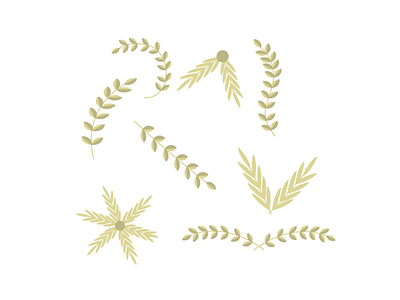 Millet in different types art autumn branch cereals decoration ear flower frame gold graphic design illustration leaf nature pattern plant tree vector wheat wreath yellow