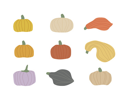 A small illustration of colored pumpkins