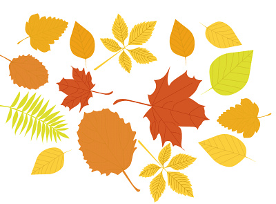 Collection of leaves autumn color graphic design illustration leaf leaves october orange palnt pattern yellow