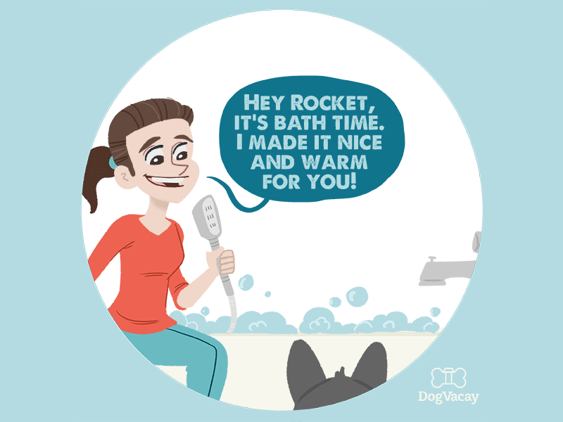 DogVacay comic Bath Time by Austin Light on Dribbble