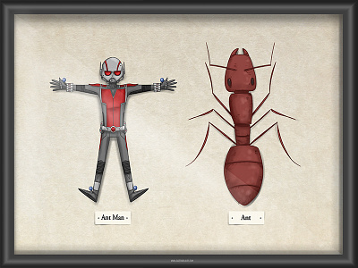 Ant Man ant ant man bugs display insects marvel movies superheroes