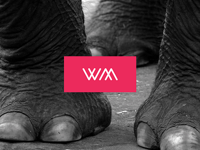 Wildlife Management branding logo visual identity