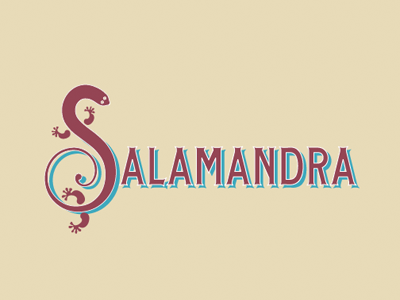 Salamandra Logo brand identity logo salamandra