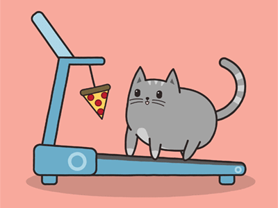 Milton's Pizza Workout animation cat cycle design illustration milton motion pizza treadmill walk walking