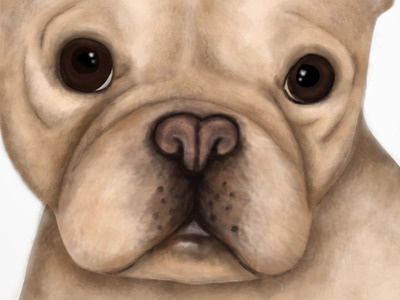 Puppy Face illustration