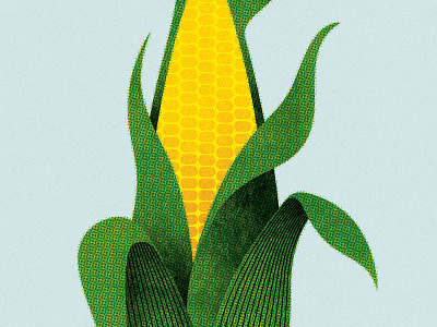 129 corn
