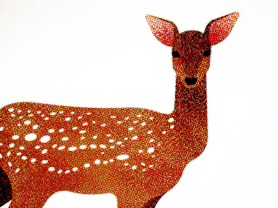 146 animal deer fauna
