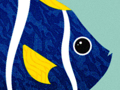 148 fish illustration marine life