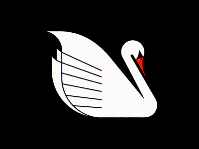154 bird swan