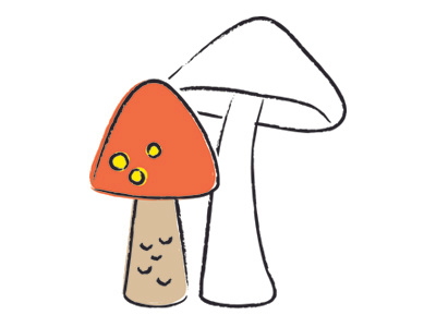 73 mushrooms shrooms