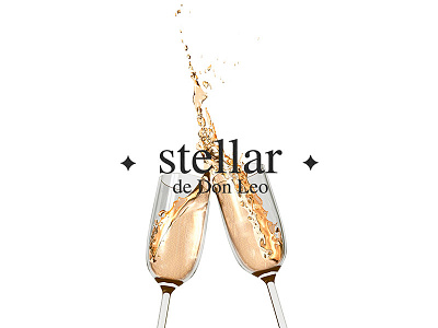 STELLAR WINE BRANDING branding brands clean logo naming stellar vino wine