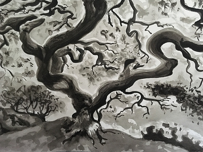 Illustration: Tree study