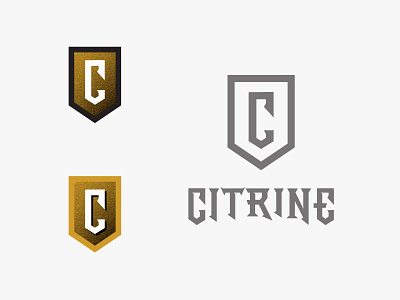 Citrine Logo brand brand identity hand lettering logo