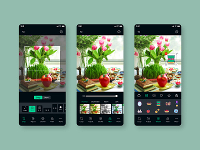 Photo Editing App app appdesign design illustration ui uidesign ux