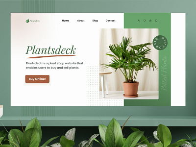 Plant Shop design herosection onlineshop plantshop ui uidesign uidesigner uiux ux uxdesign uxdesigner uxui web webdesign