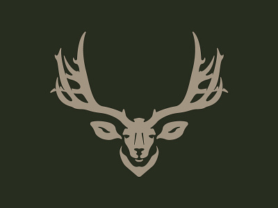 Mule Deer Illustration