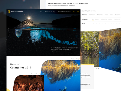 Untamed - NatGeo Photography Redesign dark interface landing page natgeo photography natgeographic redesign ui ux ux design web web design