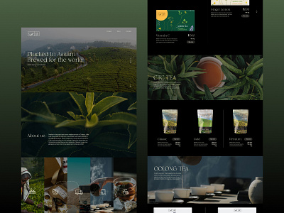 Little leaf - Website design design little leaf tea ui ui design uiux webapp website design