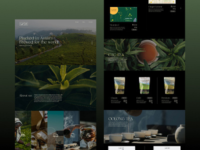Little leaf - Website design
