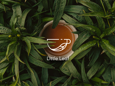 Little Leaf - logo design branding design graphic design logo logo design