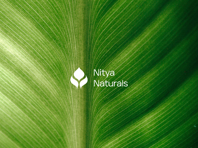 Nitya Naturals - Rebranding ayurveda branding design graphic design healthcare logo nature