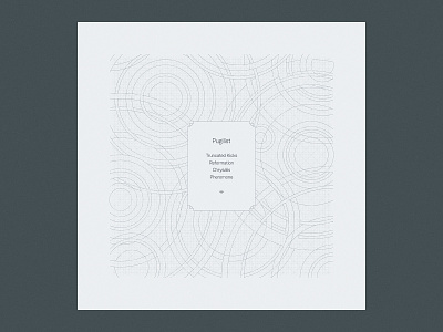 Reverse of sleeve for TRSK005 bass bass music blueprints circles circular forming grid grid design illustration labels music industry pattern pattern design sketch techno vinyl vinyl cover