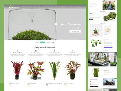 Aqua Essentials - Shopify Website Design & Development