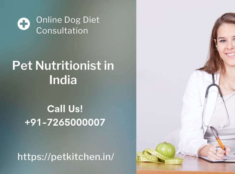 Pet Nutritionist in India Geet Rao Pet Kitchen by Pet kitchen on