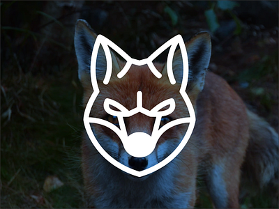 Fox Logo art branding design fox foxline foxlineart graphic design illustration lineart logo neatlineart ui vector