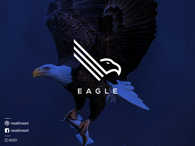 Eagle Logo art branding design eagle falcon graphic design illustration lineart logo neatlineart ui vector