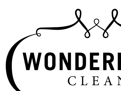 Wonder clean frame logo ribbon w wonder