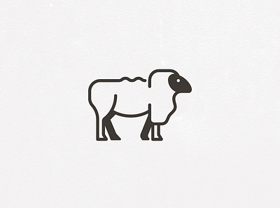 Shropshire Fleece fleece sheep wool