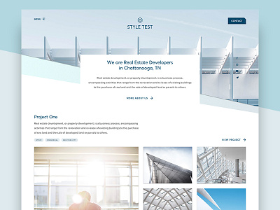 Real Estate Developer Website - Style Test
