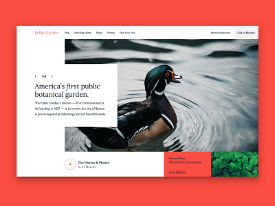 #designabovethefold ep.1 - Public Garden boston duck header hero slider public garden video cta website