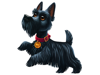 Scottish terrier dog black collar dog fur illustration pet puppy scotch scottish terrier