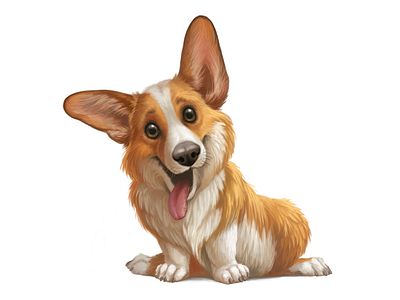 Welsh corgi puppy