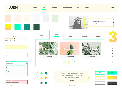 UI Design Direction art direction brand bright elements exploration floral identity moodboard portfolio soft style guide template ui warm