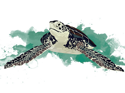 Sea Turtle Vector animal illustration marine paint sea splatter turtle vector