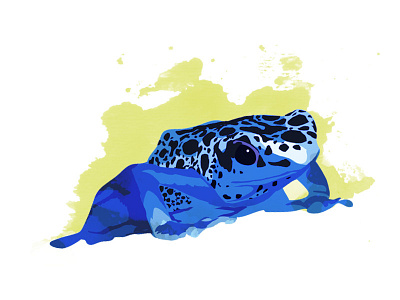 Poison Dart Frog amphibian animal blue dart frog illustration poison rainforest