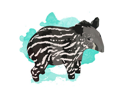 Baby Brazilian Tapir