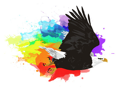 An attack on all Americans animal bird eagle flying paint rainbow splatter