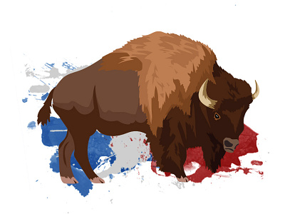 Happy Fourth of July america buffalo fourth july of usa