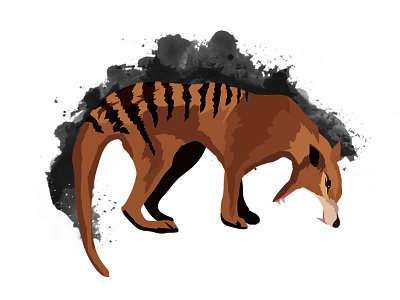 Tasmanian Tiger animal animals carnivore extinct paint splatter tasmanian tiger