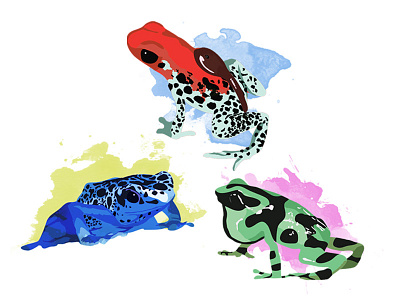 Poison Dart Frogs amphibian animals blue dart frog illustration poison rainforest
