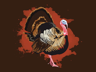 Turkey animal bird illustration poultry splatter thanksgiving turkey vector wild