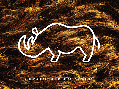 Ceratotherium Simum