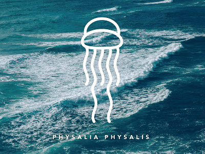 Physalia Physalis