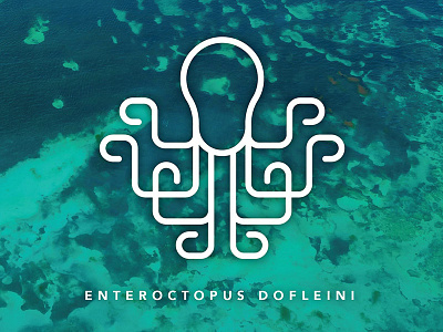 Enteroctopus Dofleini animal aqua icon line octopus scientific stroke tentacle water