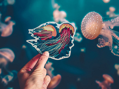 Jellyfish Sticker